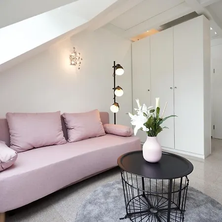 Wohnen Auf Zeit - Innenstadt-appartements Fryburg Bryzgowijski