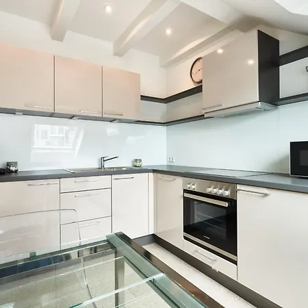 Wohnen Auf Zeit - Innenstadt-appartements Apartament Fryburg Bryzgowijski