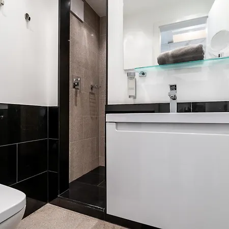 Wohnen Auf Zeit - Innenstadt-appartements Fryburg Bryzgowijski