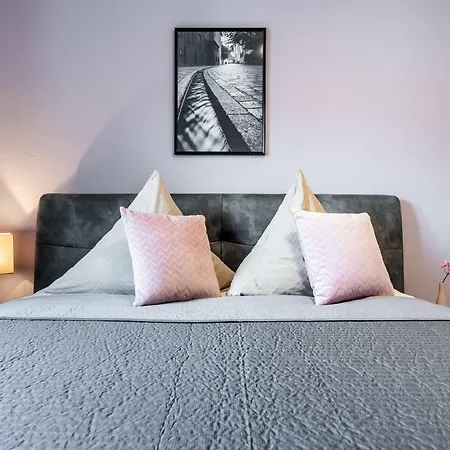 Wohnen Auf Zeit - Innenstadt-appartements * פרייבורג